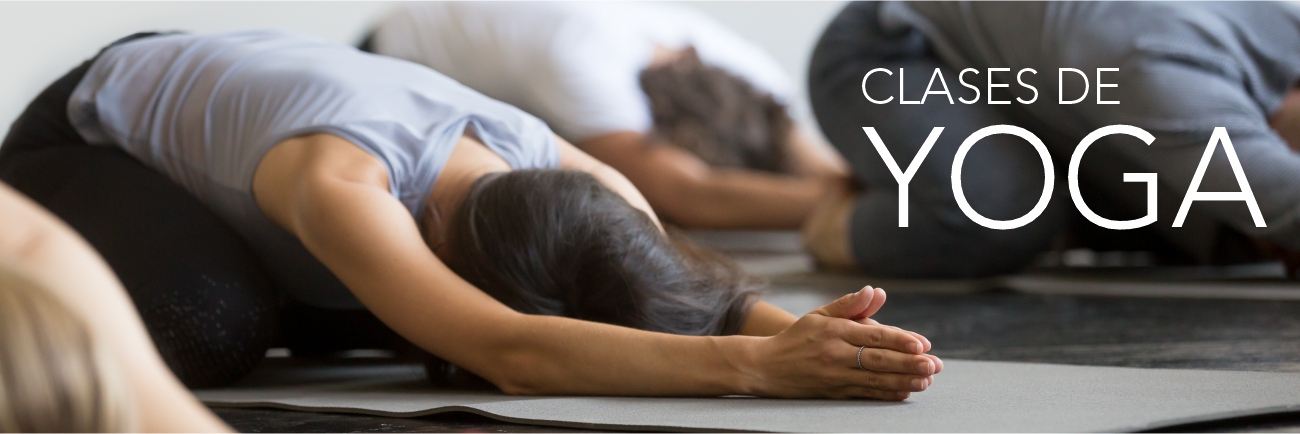 Imagen decorativa Imagen